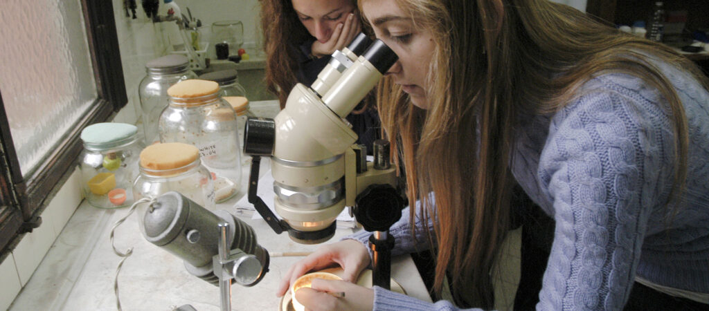 La UBA fortalece su política científica con 752 nuevos proyectos de investigación